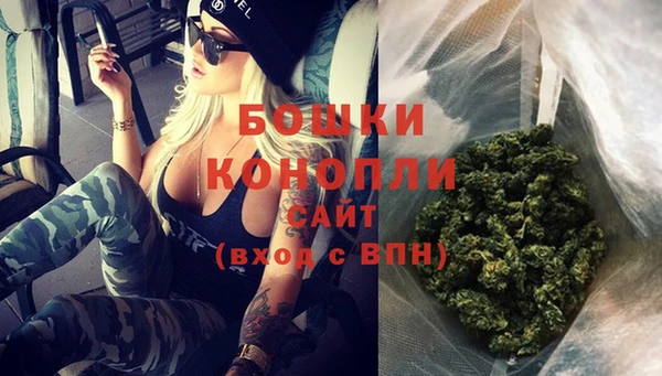 ГАЛЛЮЦИНОГЕННЫЕ ГРИБЫ Верея