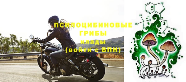 мдпв Сосновка