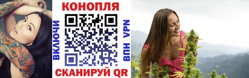 Бошки марихуана VHQ  купить закладку  Медногорск 