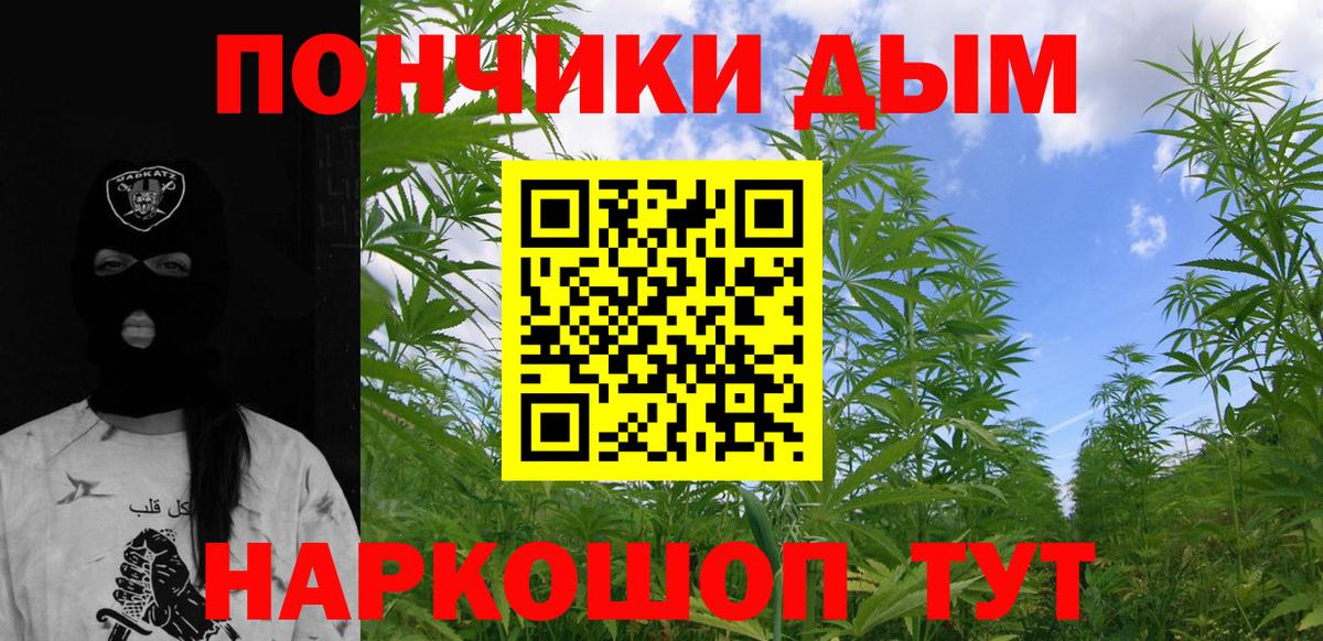 Марихуана конопля  Шишки марихуана гибрид  Вход с VPN  Медногорск  Каннабис марихуана 